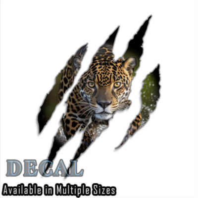 Claw Mark Leopard c Decal Sticker