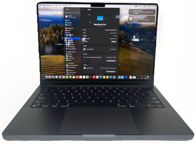 Apple MacBook Pro 14 in 2023 Space Black/Apple M3 Pro 4.05 GHz 