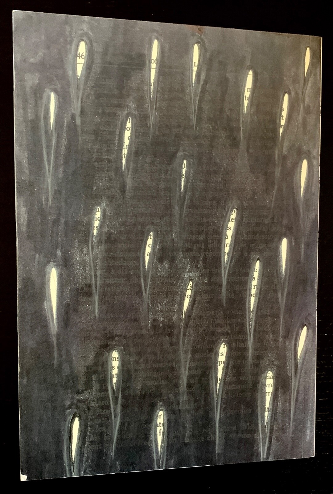 Picture 19 of 19