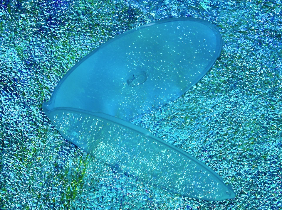 TOM PETTY Starring In HEARTBREAKERS BEACH PARTY DVD 2025 Documentary Stevie Nick - Image 3 of 4