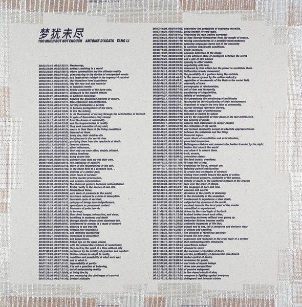 Yang Li (U. A.) | Too Much But Not Enough | Taschenbuch | Englisch (2023)-image