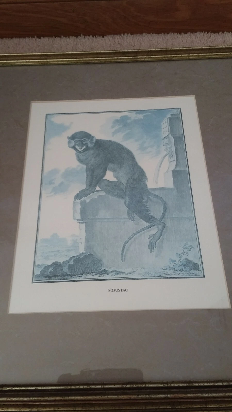 Picture 6 of 9