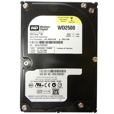 WD WD2500JD HDD Hard Disk 250GB 3.5'' Desktop Computer Server NAS DVR PC