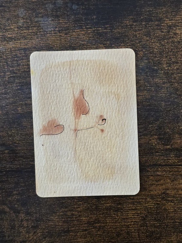 ACEO Original Art by SY Sunprint Tumeric Organic Sun Shadow Flower Botanical 