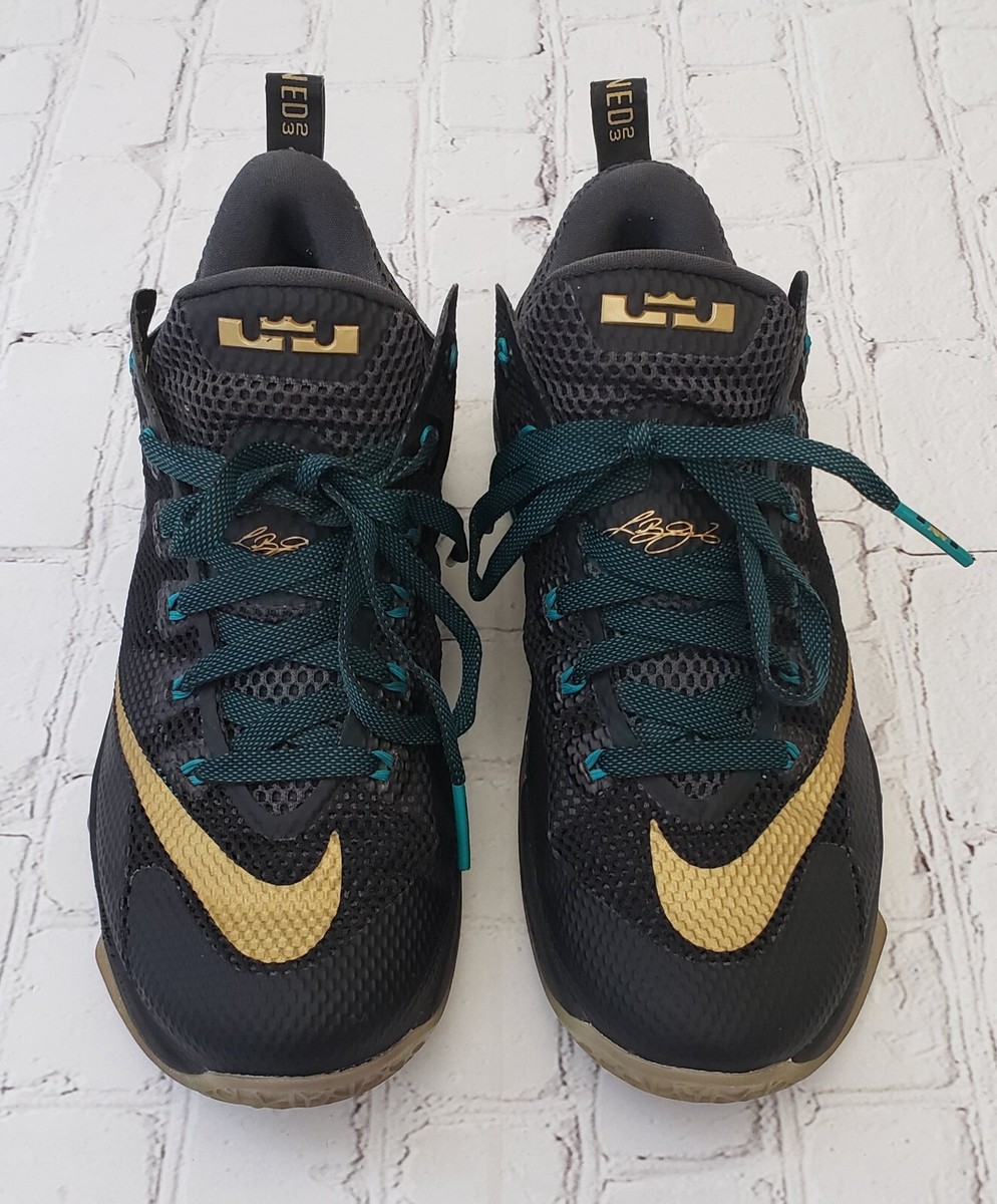 NIKE LeBron 12 Elite 2014 Athletic Shoes Basketball Sneaker Black Gold Men US 12 Nike LeBron XII Men main image 3