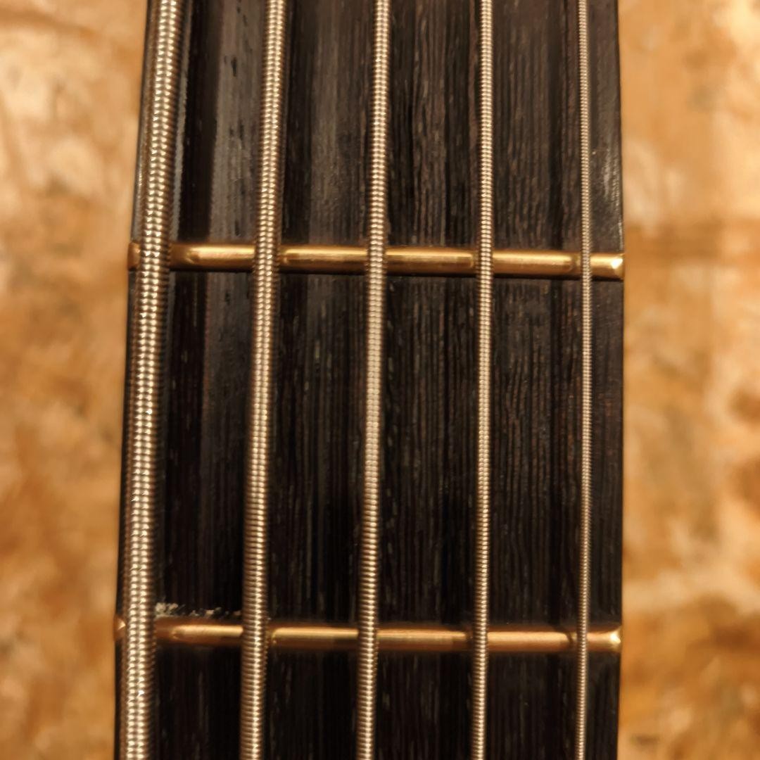 Warwick Streamer Lx5 Pro Series Made In Korea | eBay