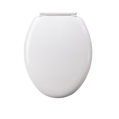 WC-Sitz-Schnellverschlussscharniere in ovaler Form
