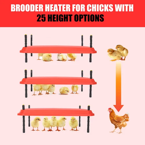 Thermostatically Controlled Brooder Heating Plate for Chick w/ Adjustable Height - Picture 4 of 12