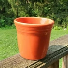 FIESTA WARE flower POT poppy orange 3.5" NEW
