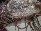 Animal Hyde Purse Unfinished — photo 6