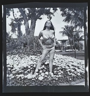 Bunny Yeager Estate Negativo Vintage Originale di Ruth Anderson