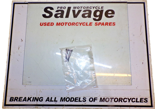 BMW G 310 R 2024:BREMSSATTELSCHRAUBEN - VORNE:GEBRAUCHTE MOTORRADTEILE