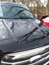 Local Pickup Only Hood Fits 15-20 Ford F150 Pickup 3232196