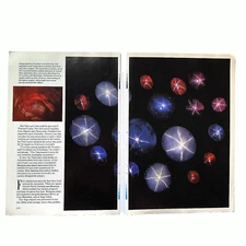Print Images 1991 Gemstone Article Star Sapphire Ruby Mines Gems Paper Collector