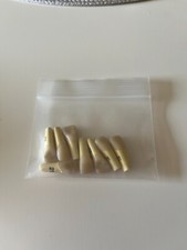 Caries MD Teeth 21 (8 Pieces) Practice Dental Model