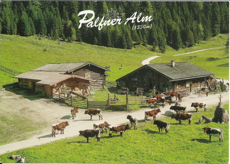 NICE ADVERTISING PHOTO POSTCARD - PALFNER ALM SEIDLWINKLTAL WOERTH AUSTRIA