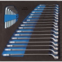 Werkzeugmodul 1500 CT2-1 B 25-Tlg.2/3-Modul Ringmaul-/StiftschlüSsel Gedore