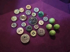 Lot Of 24 Vintage Green Molded Buttons 2-Hole, 4-Hole, Shank