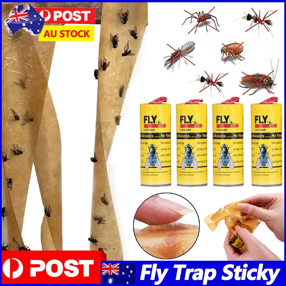 Sticky flypaper 2024