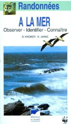 Wandern am Meer. Beobachter Identifik... - Bruno Kremer - V670775