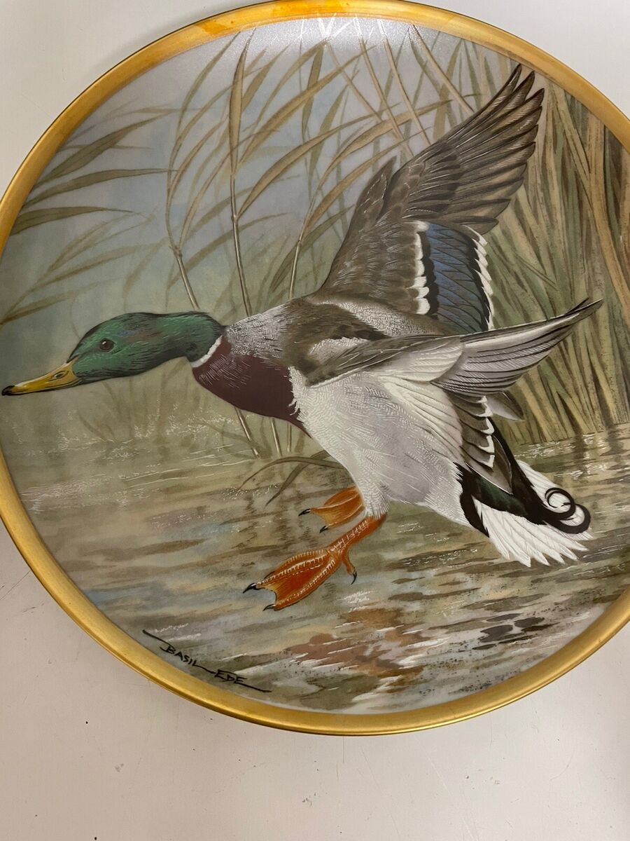 4 Franklin Porcelain Plate 1981 Water Birds Of The World 4 Franklin Porcelain Plate 1981 Water Birds Of The World