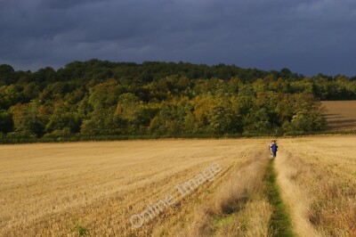 Photo 6x4 After the harvest: heading north off the London Loop Orpington  c2011