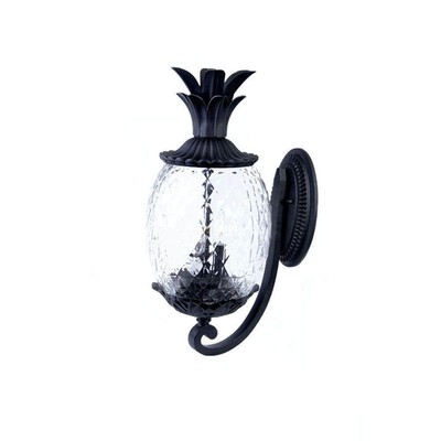 Acclaim Lighting Outdoor Sconces 7.25''W Aluminum Lantern Hardwired Traditional
