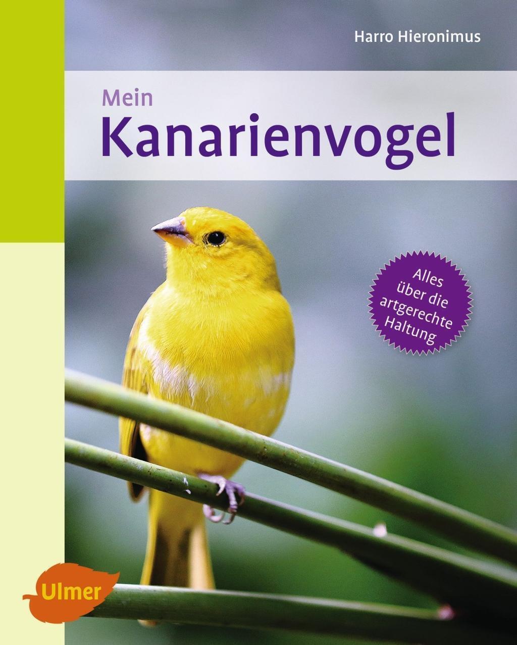 Thumbnail - Mein Kanarienvogel Zu Hause | Harro Hieronimus | Deutsch | Taschenbuch