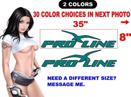2 PROLINE PRO LINE BOAT DECALS  Marine Vinyl 30  COLORS TO CHOOSE FROM - Picture 1 of 3