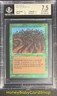 MTG Limited Edition Alpha 1993 Wall of Wood BGS 7.5 NM+ Old School 93/94