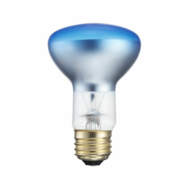 grow light flood bulb