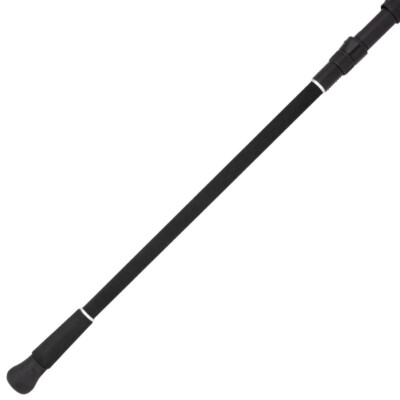 Daiwa Sensor Sand Storm Fishing Rods | eBay