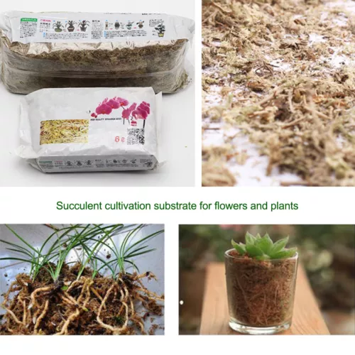 6/12L Dried Sphagnum Moss Potted Plant Organic Nutrition Fertilizer Moisturizing - Bild 11 von 17