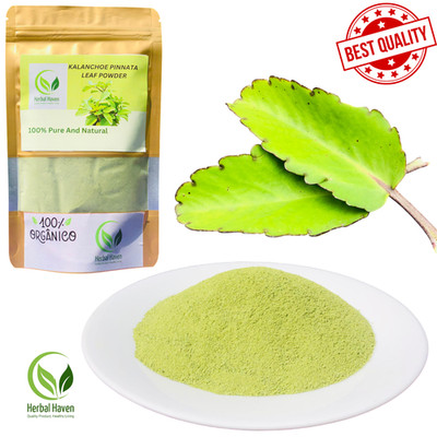 Natural Kalanchoe Pinnata Leaves Powder Bryophyllum pinnatum Pure Herbal Organic