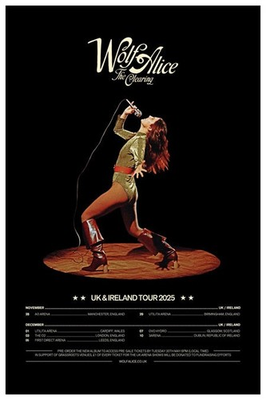 #ad Wolf Alice The Clearing Tour Poster UK Ireland 2025 Concert 12x8in Metal Sign $36.99