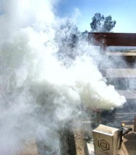 1/2  POUND SMOKER FUEL, HONEY BEE KEEPING BEES HIVE SMOKE NATURAL PINE NEEDLES