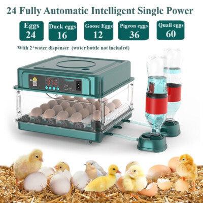 Egg Incubator Automatischer Kükeninkubator LED-Anzeige Für Gänsehuhn 10-24 Eier