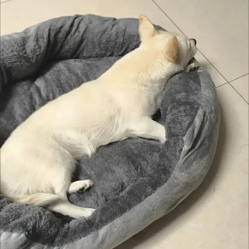 Soft Warm Dog Bed Pets Basket Cat House Sofa for Medium Large Dog Sofa Bed
