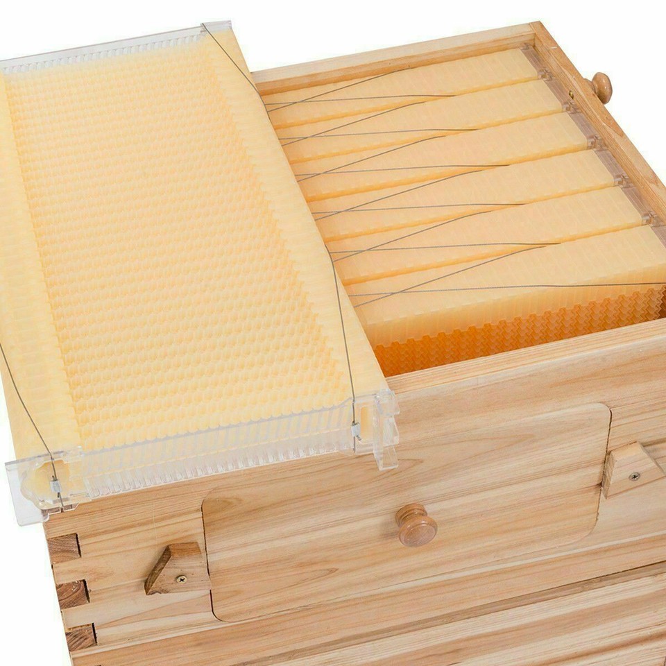 7 Auto Flow Honey Hive Beehive Frames for Auto Cedarwood Beekeeping ...