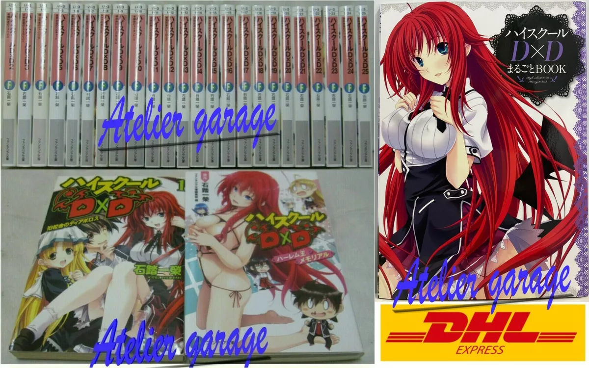 HIGH SCHOOL DXD IN 26 MINUTES 