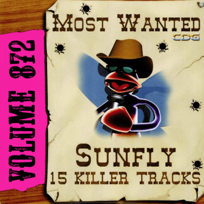 (未使用･未開封品)Holiday Karaoke DVD: Forever Hits Sunfly Karaoke CDG CD Most Wanted Volume 872 CD+G Disc 15