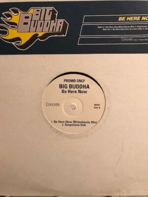 Big Buddha   Be Here Now 12'' Vinyl Promo Breakbeat Concrete Suspicious Dub Gizmo