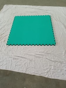 50 TATAMI 1m x 1m 2cm THICK MARTIAL ARTS GYM KARATE FITNESS Pilates