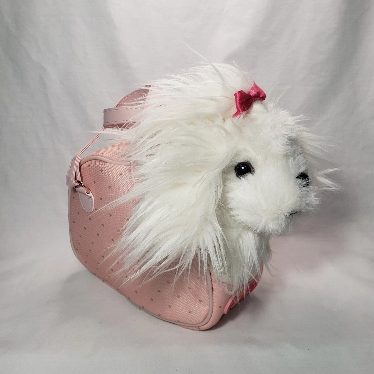 Maltese top puppy accessories