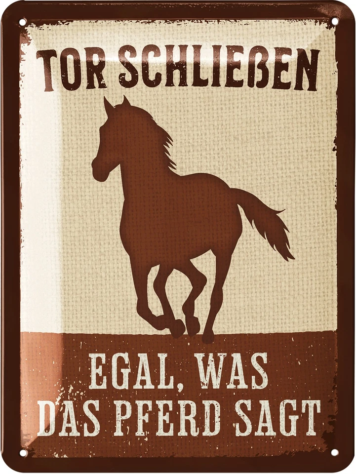 LANOLU Retro Blechschild Pferde Schild Geschenk Pferdeliebhaber Boxenschild Deko 15x20