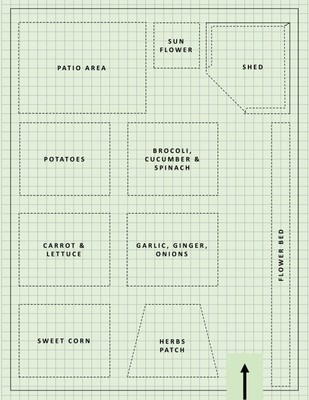 Garden Design Graph Paper: To Plan and Create Your Garden Layout and Structure -