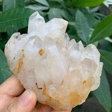 582g   Natural Clear White Quartz Crystal Cluster Rough Healing Specimen