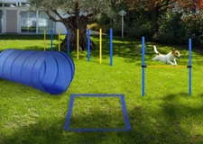 Pet Dog Exercise Agility Training Kit Obstacle Course Equipment Jumps Tunnel