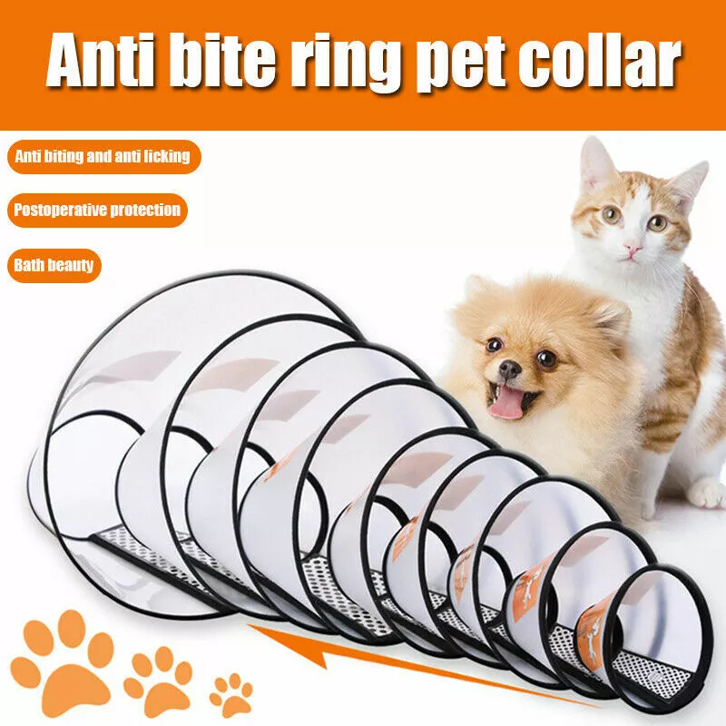 Cone protector for clearance dogs
