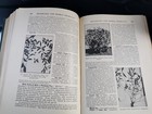 Foto 17 di 24